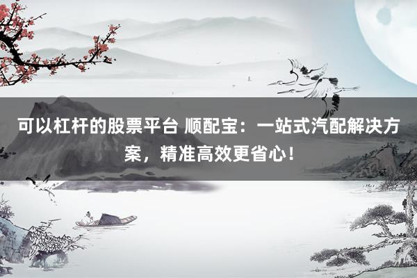 可以杠杆的股票平台 顺配宝：一站式汽配解决方案，精准高效更省心！