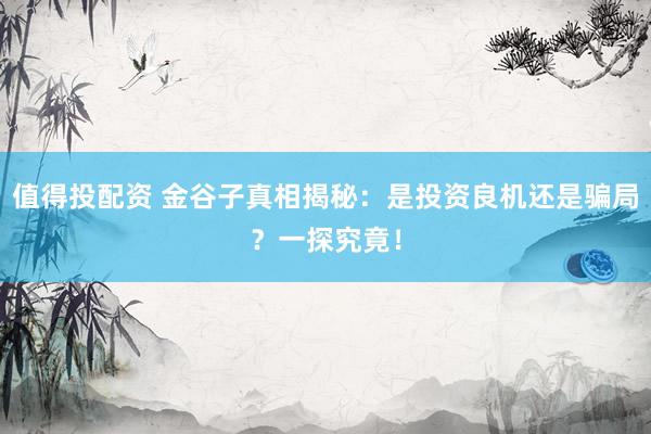 值得投配资 金谷子真相揭秘：是投资良机还是骗局？一探究竟！