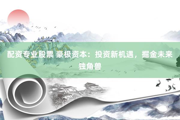 配资专业股票 豪极资本：投资新机遇，掘金未来独角兽