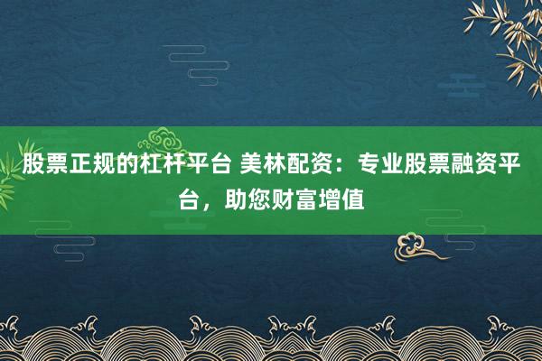 股票正规的杠杆平台 美林配资:专业股票融资平台,助您财富增值