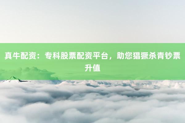 真牛配资:专科股票配资平台,助您猖獗杀青钞票升值