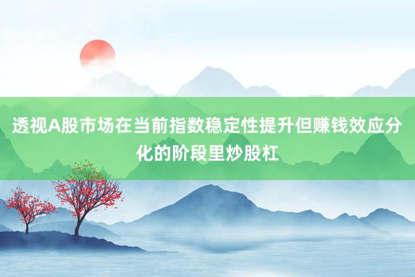 透视A股市场在当前指数稳定性提升但赚钱效应分化的阶段里炒股杠