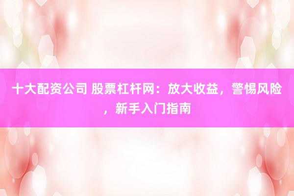 十大配资公司 股票杠杆网：放大收益，警惕风险，新手入门指南