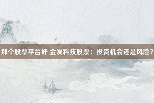 那个股票平台好 金发科技股票：投资机会还是风险？
