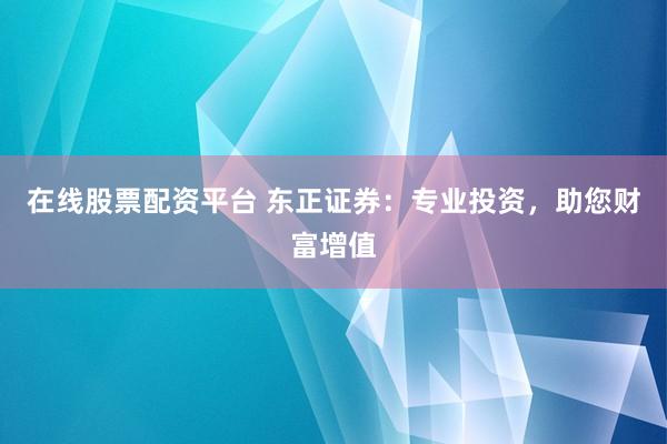 在线股票配资平台 东正证券：专业投资，助您财富增值